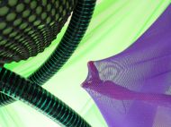 EXHIBITIONS: LAST WEEKS OF TORQUE AND ANAMORPH AT GARTER LANE