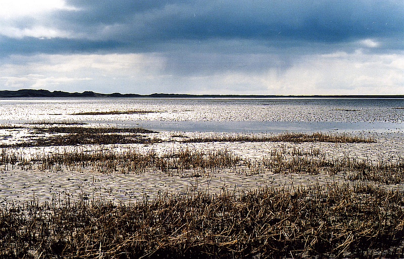 BOOK LAUNCH – THE BACKSTRAND