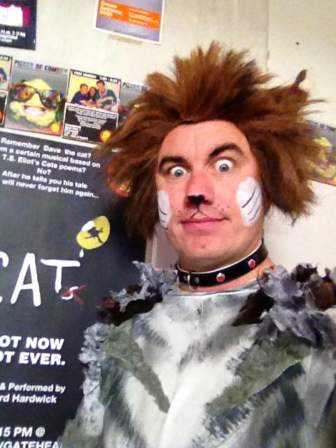 ‘CAT’ IS BACK AT CENTRAL HALL THIS WEEKEND