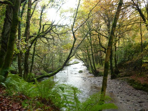 BURSARIES FOR THE STORY HOUSE AT COLLIGAN FALLS, WATERFORD!