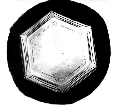 SOMA (SCG) CHRISTMAS SHOW OPEN