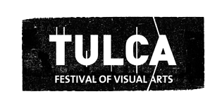 TULCA FESTIVAL OF VISUAL ARTS ANNOUNCE 2015 CURATOR & OPEN CALL