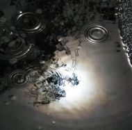 SWATCH8 BY CATHY WALSH