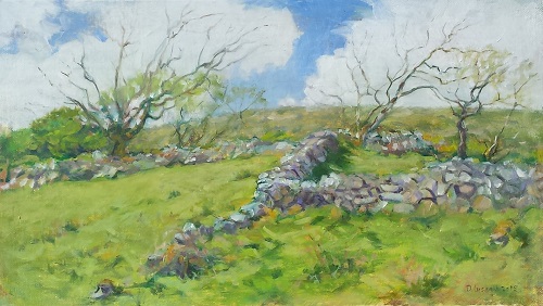 DRAÍOCHT NA NOLLAG –CHRISTMAS MAGIC