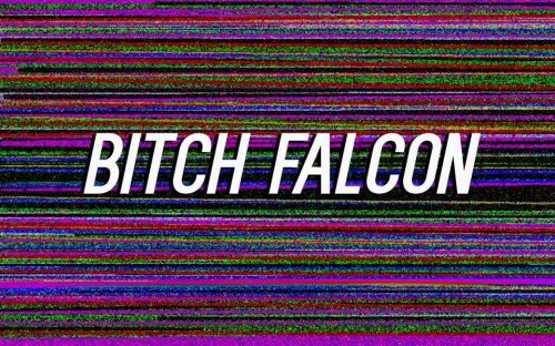 BITCH FALCON AT CENTRAL ARTS