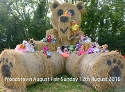WOODSTOWN AUGUST FAIR 2018