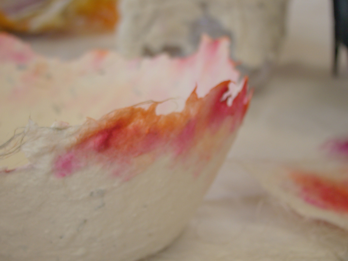 PAPER MAKING AND PAPER ART WORKSHOPS IN KILKENNY