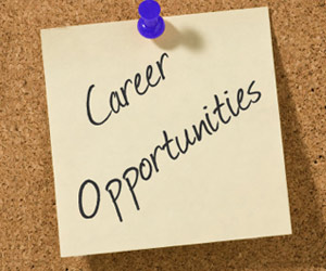 COORDINATOR WANTED FOR TOWERS AND TALES FESTIVAL