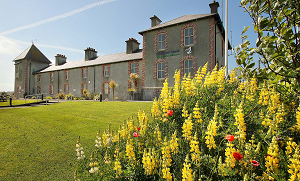 JAPANESE BLACK INK PAINTING WORKSHOP FOR BEGINNERS