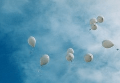 A CELEBRATION OF WATERFORD HEALING ARTS TRUST IN 25 OBJECTS