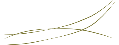 EMERGENCE VISUAL ART AWARD 2019 – OPEN CALL FOR APPLICATIONS