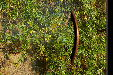 EXHIBITION AND TALK – NIAMH O’MALLEY