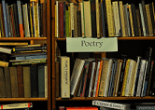 VINCENT BUCKLEY PRIZE 2020
