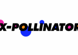 X-POLLINATOR – A CROSS-DISCIPLINARY PROFESSIONAL DEVELOPMENT INITIATIVE FOR FEMALE TALENT