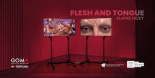 EXHIBITION – FLESH AND TONGUE BY ELAINE HOEY