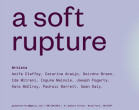 GOMA GALLERY LAUNCHES A SOFT RUPTURE