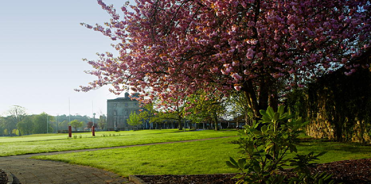 CONCORDA CHAMBER MUSIC COURSE FOR STRINGS 2022 FINALE CONCERT