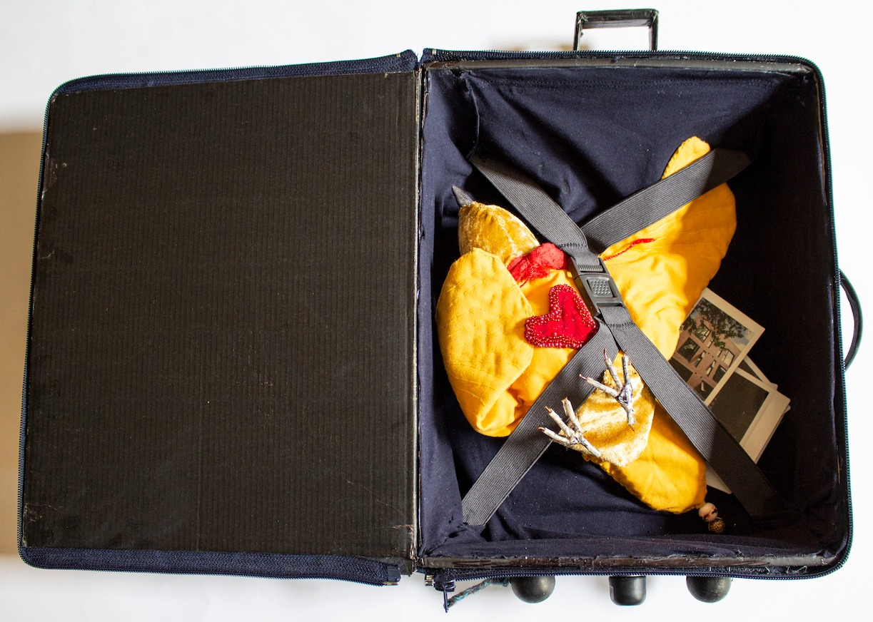 I Bought The Dream of Flying | By Corina Duyn and Caroline Schofield