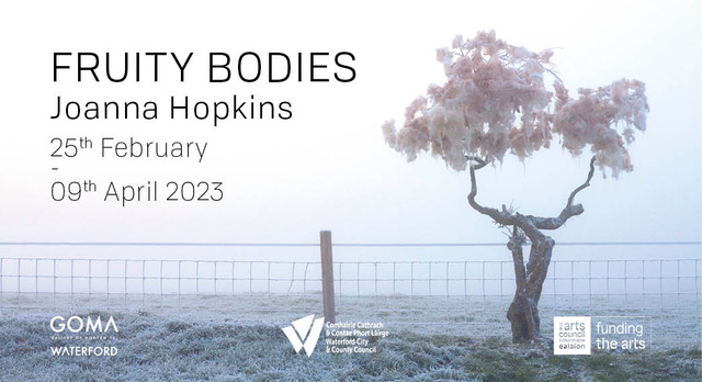 Fruity Bodies Exhibition Launch