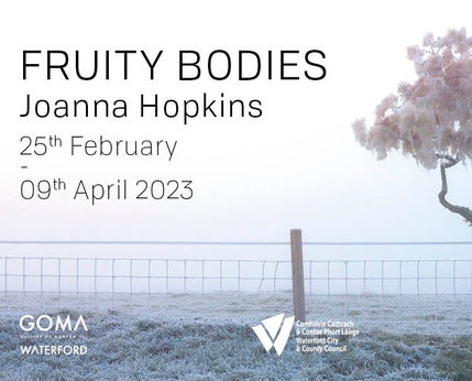 FRUITY BODIES – NEW ART EXHIBITION BY JOANNA HOPKINS