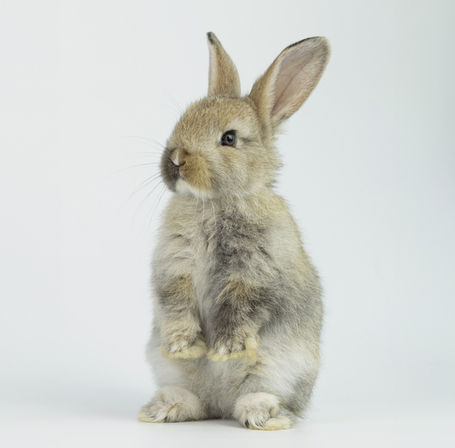 THE MAYOR & THE SCARE AT SPRAOI PHOTOSHOOT!