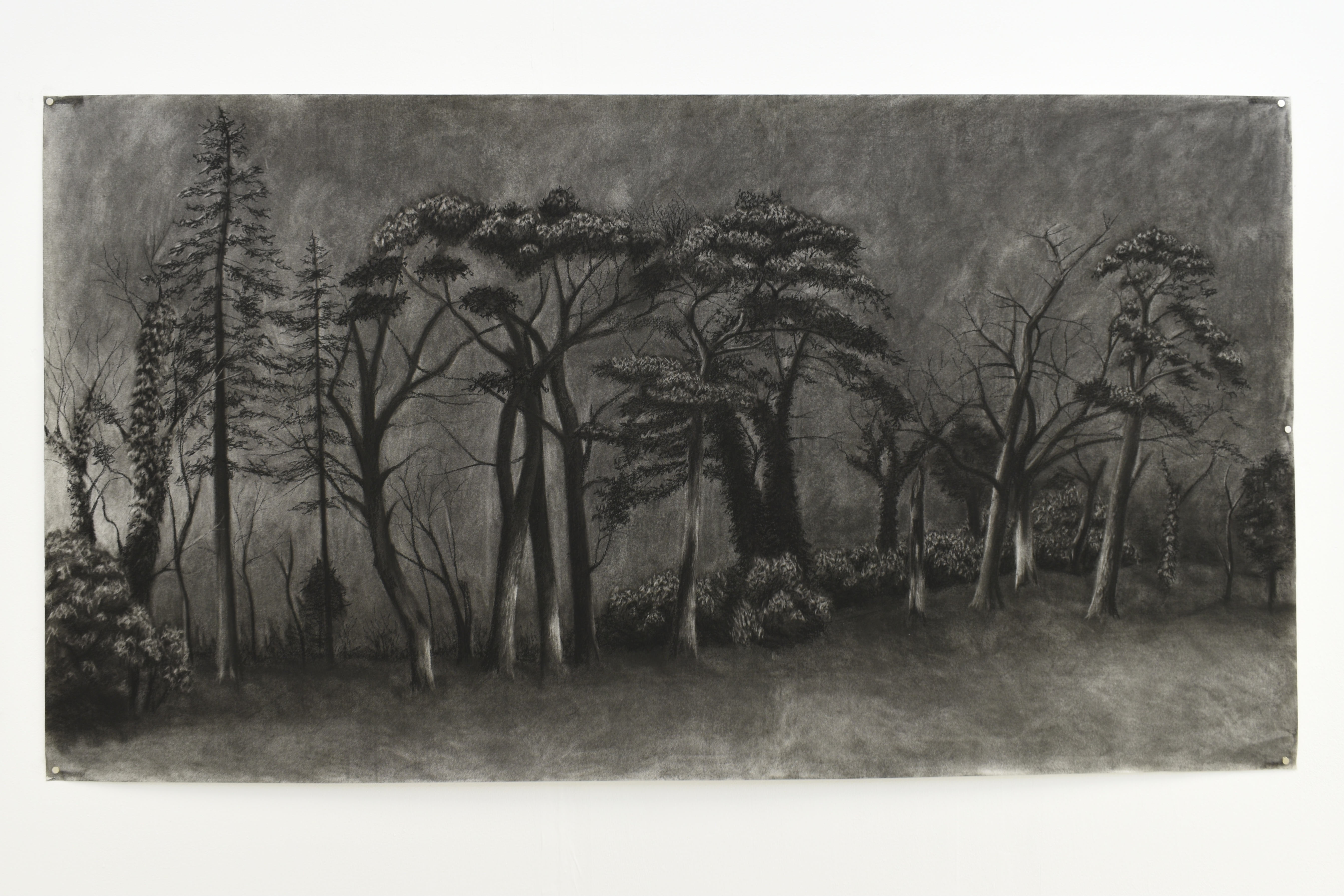 GOMA Workshop | Charcoal Drawing 15.03.2025