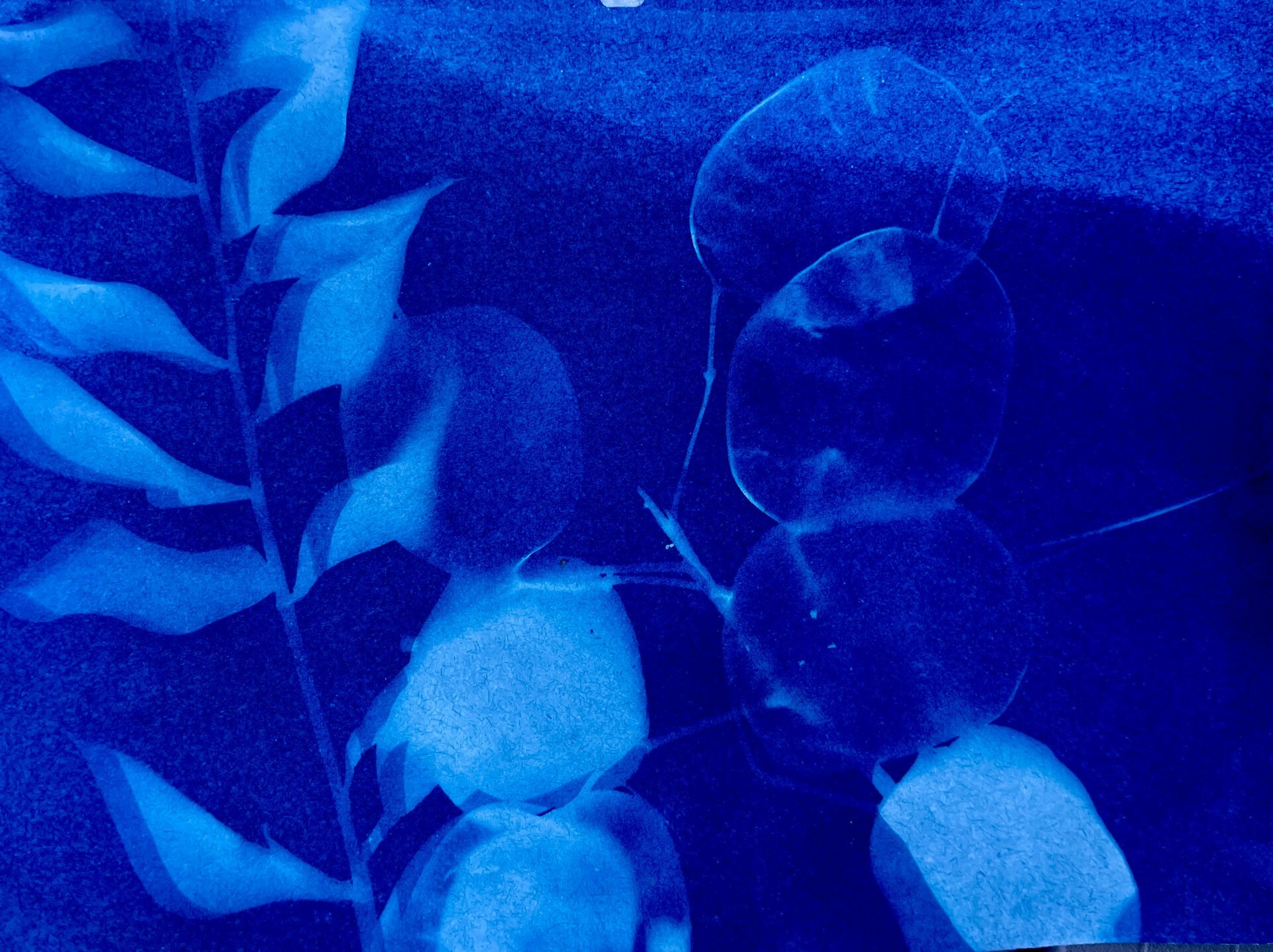 FREE CYANOTYPE WORKSHOP WITH PATRICK PENNEY
