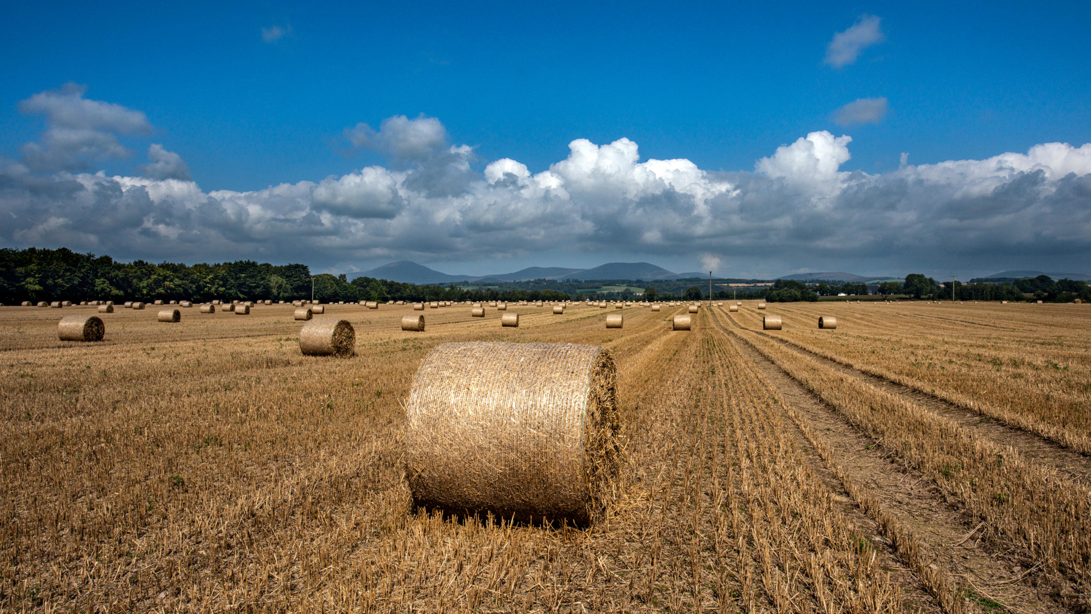 Bernard van Giessen, ‘Local Land’, exhibition at Old Market House Arts Centre, Dungarvan